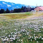 Eibelesee Lägenhet