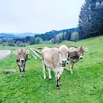 Eibelesee Lägenhet Oberstaufen
