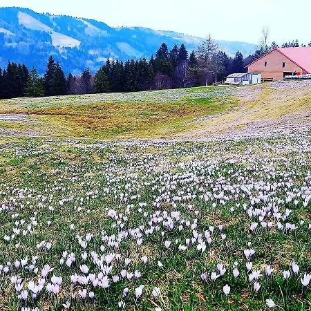 Eibelesee Appartement