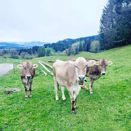 Eibelesee Apartamento Oberstaufen