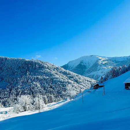 Eibelesee Appartement *